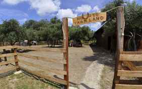10 Pferde und ein Pony wohnen auf der Farm
